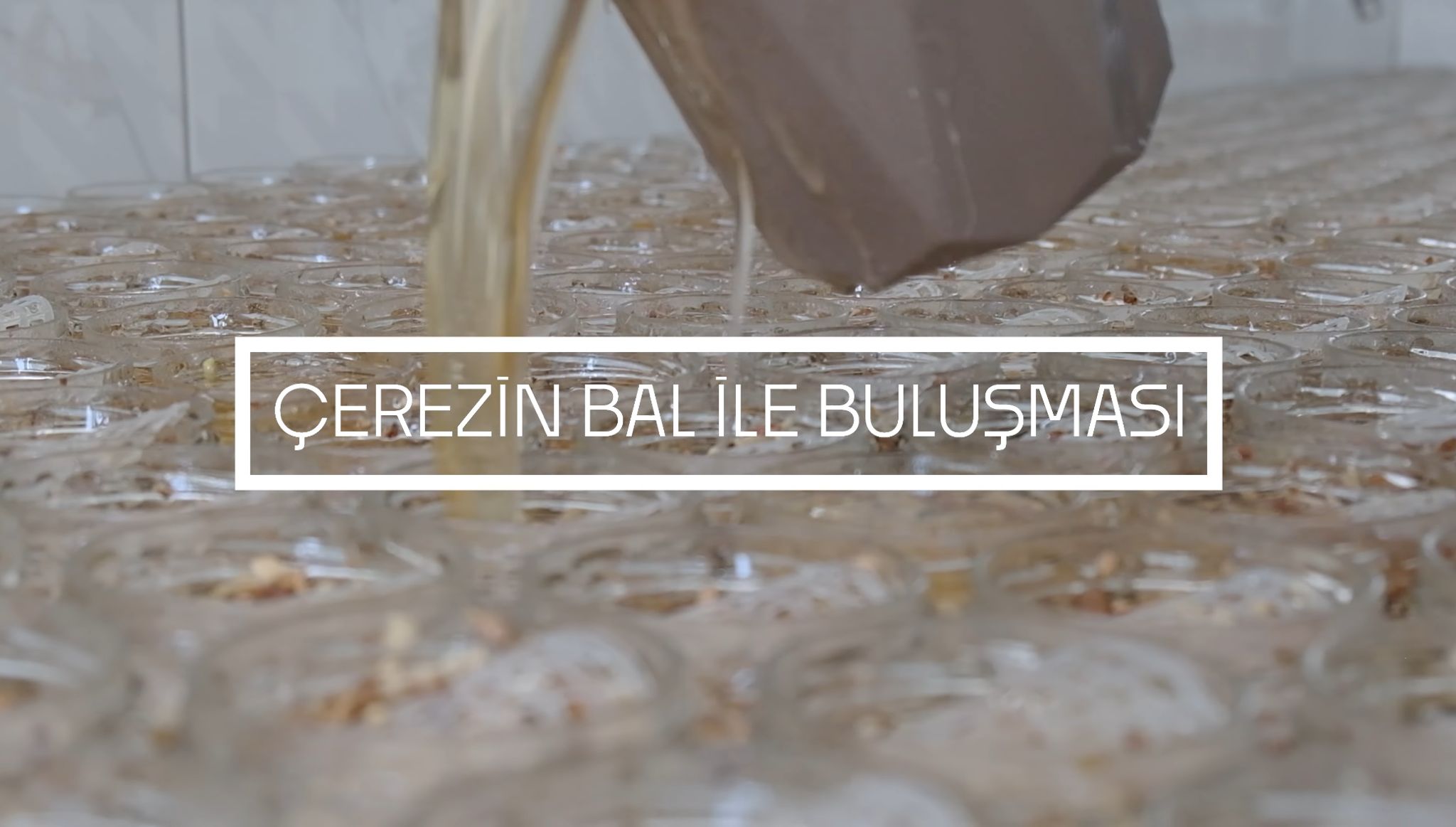 Üretim Tesisi